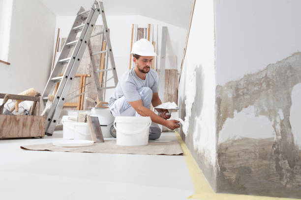 Best Trim and Molding Painting  in USA